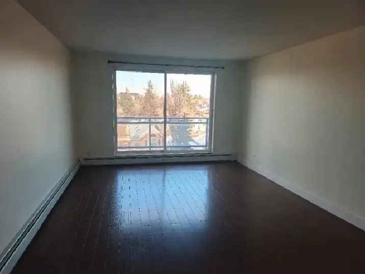 1 Bedroom, 1 Bathroom Unit Available Close to Downtown