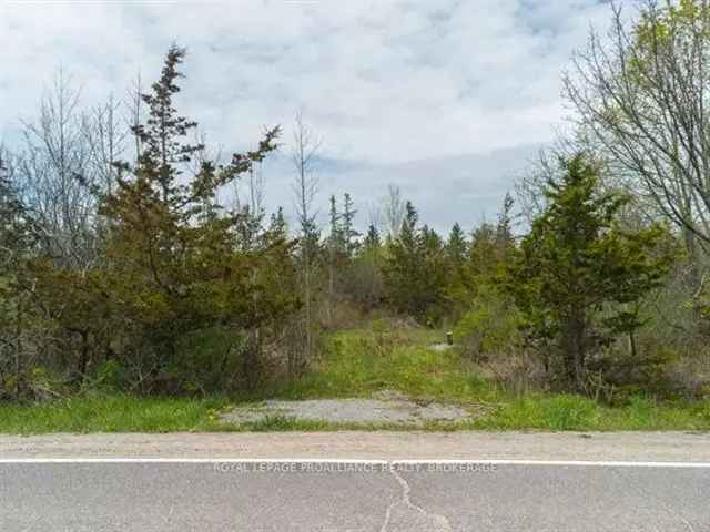 4.88 Acres Kingston Lot - Country Living City Access