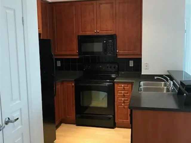 Luxury 2 Bedroom Condo with Balcony and Parking