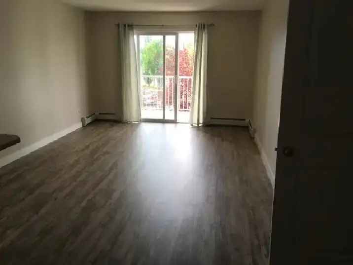 Newly Renovated 1-Bedroom Suite in Eaux Claires