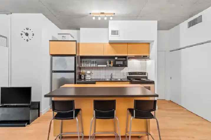 Superbe condo à vendre Vieux Montréal