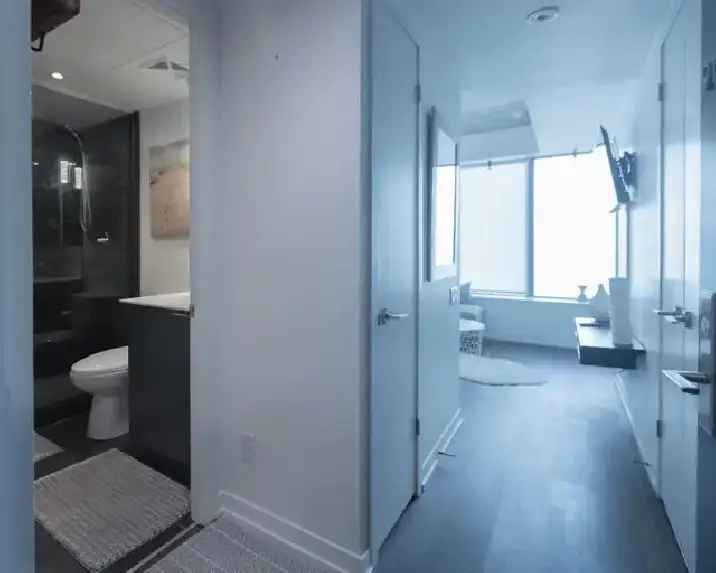 Modern Fully Furnished One Bedroom Condo Suite