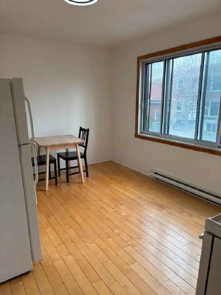 1 Bedroom Apartment for Rent in Rosemont