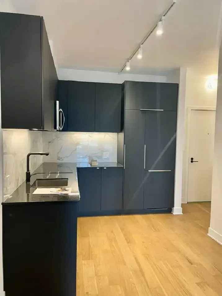Downtown Montreal 1 Bedroom Condo Near Metro