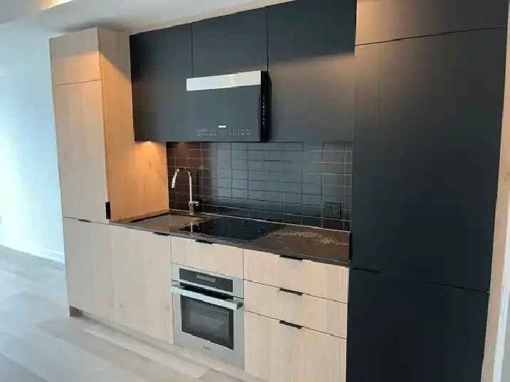 1 Bedroom 1 Den Condo for Rent  Luxury Amenities