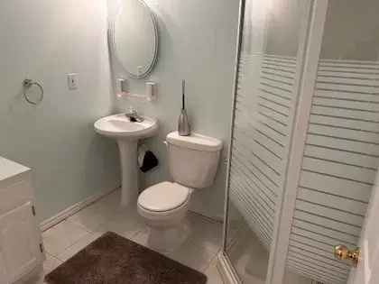 Spacious Basement Apartment in Erin Mills - Close to Amenities