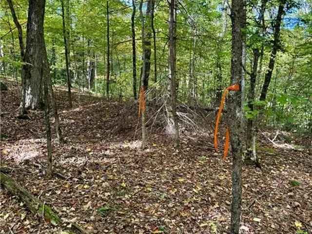 Land For Sale in Huntsville, Ontario