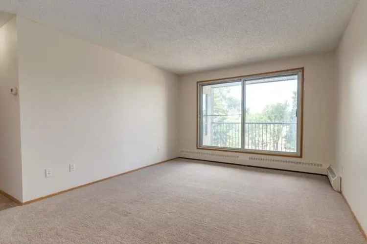 Rent Apartment in Edmonton with Spacious Suites and Modern Amenities