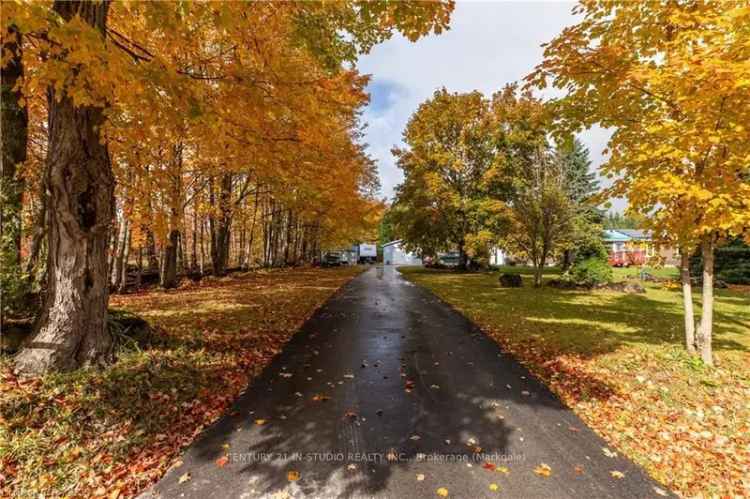 House For Sale in Chatsworth, Ontario