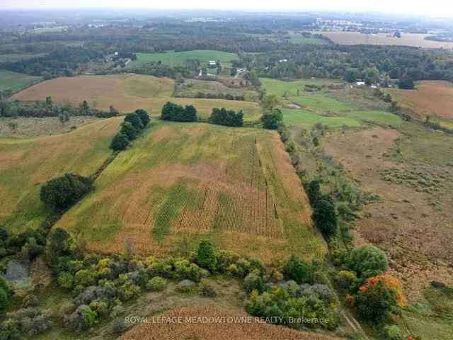 98-Acre Property with 3-Bedroom Bungalow and Quonset Hut