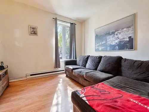 Duplex for Sale in Montreal Mercier Hochelaga Maisonneuve