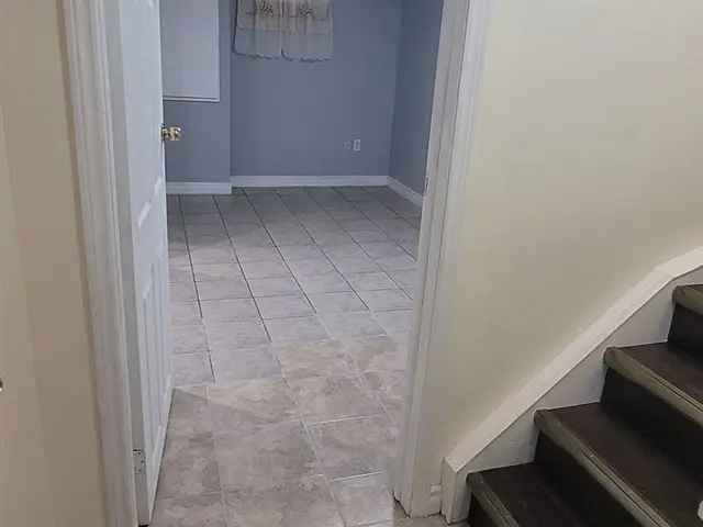 Basement Studio Apartment For Rent Recently Renovated