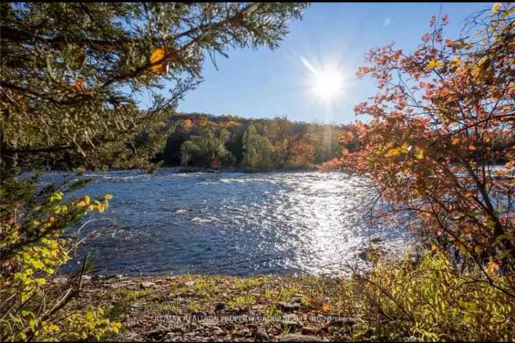 Campbellford Waterfront Home Double Views In Law Suite