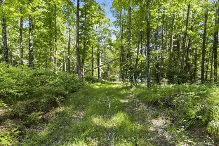 82 Acres Rural Lot - Secluded Land for Sale