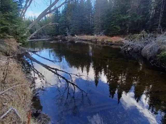 60 Acres Crowe River Waterfront Land Family Retreat Organic Gardening