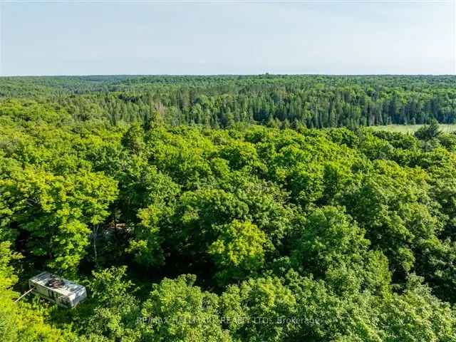 42 Acres Muskoka Lakes Privacy Year Round Road VTB Potential