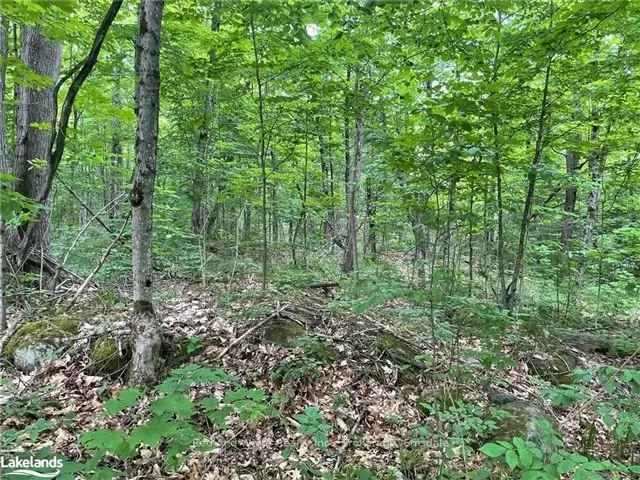 Land For Sale in Magnetawan, Ontario