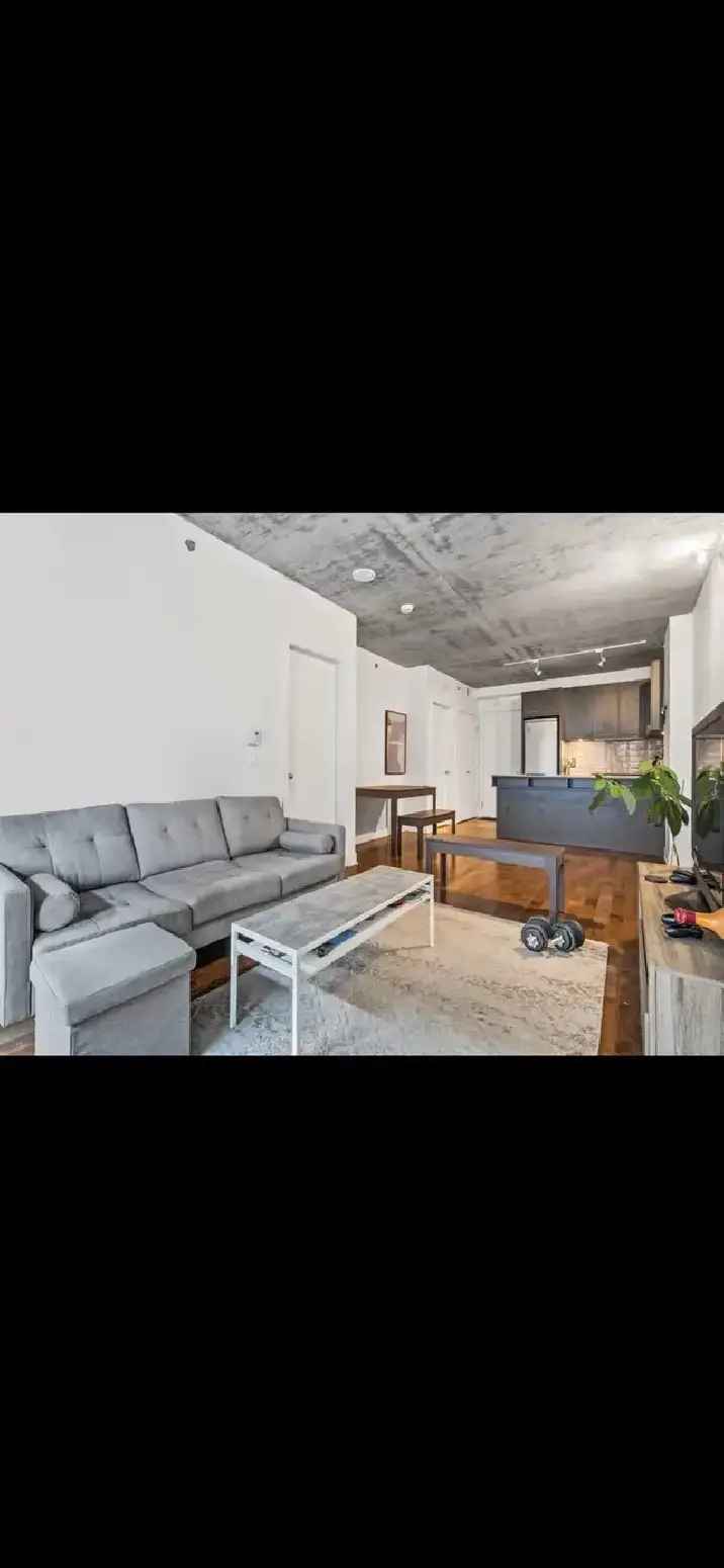 Luxury 3 1 2 for Rent Downtown Montreal Near Atwater Metro