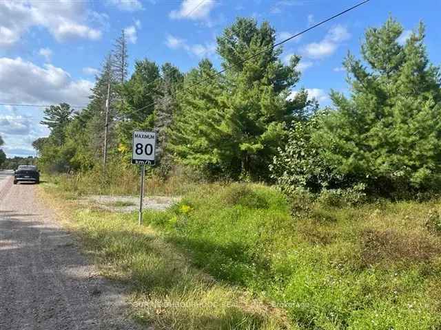 Affordable Level Lot Near Town Partially Cleared