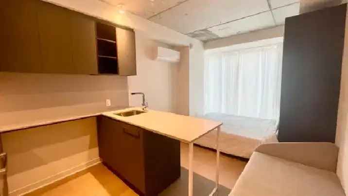 1 chambre 1 bath Nouveau studio meublé au cœur de Montréal $1350