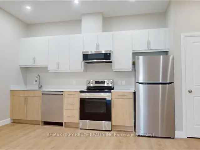 Brand New Renovated Downtown Apartment - High Ceilings Granite Counters