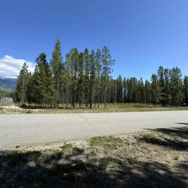 Valemount Half Acre Lot Mountain Views Upscale Neighborhood