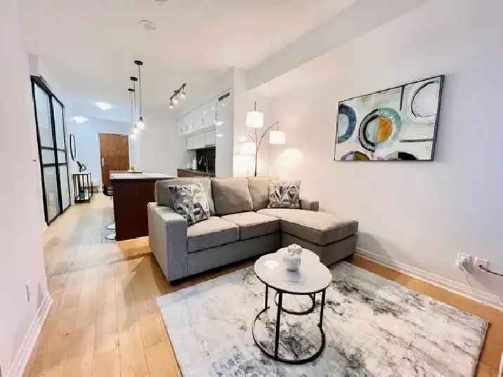 Fabulous furnished condo for rent in downtown Toronto / Jan 1st