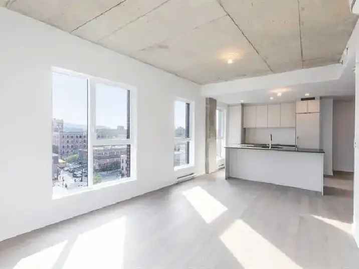 Sunny bright new Condo 3 1/2  near metro Frontenac for Rent