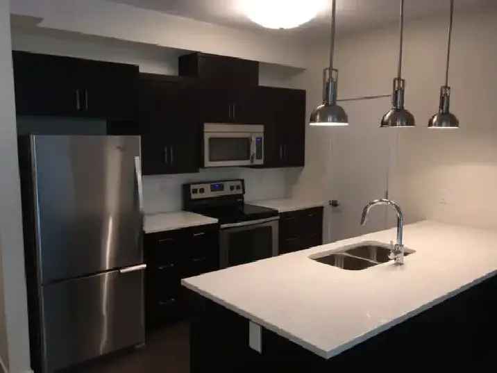 Lovely 2 bedroom/2 bathroom condo in NK