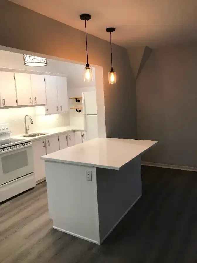 Spacious Newly Renovated 1 Bed Apartment in Arnprior