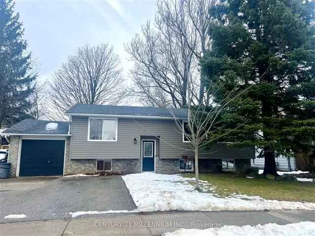 Bright 3+1 Bedroom Raised Bungalow on Large Lot