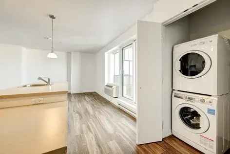 1 Bedroom Apartment in Montreal Le Namur