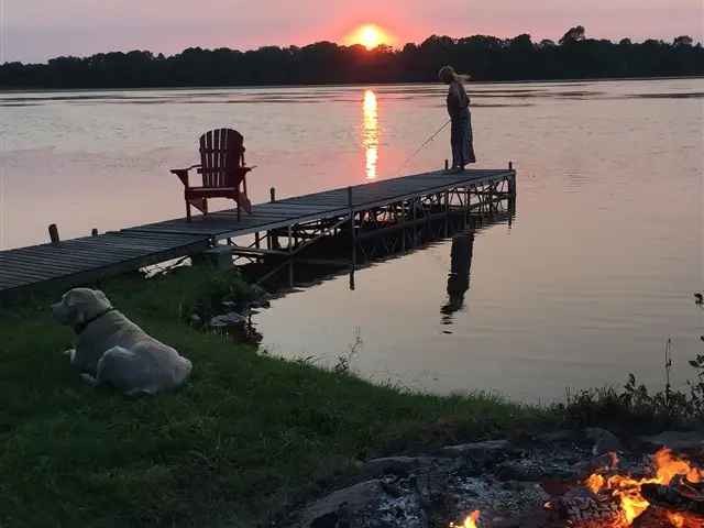 Renovated Waterfront Cottage on Michel Lake Trent Severn Waterway