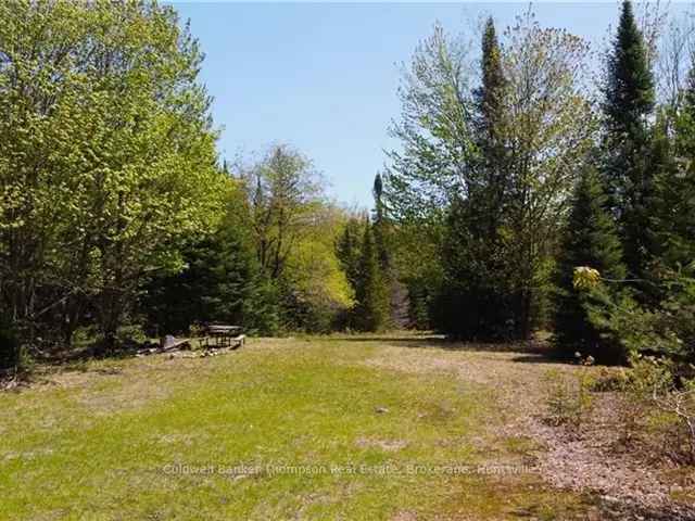 25-Acre Secluded Oasis near Burks Falls - Build Your Dream Home