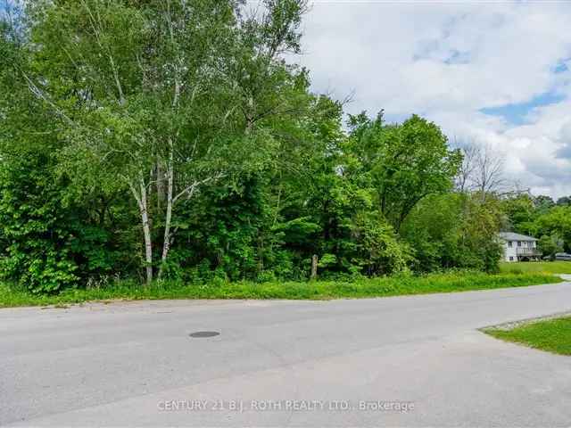 Lovely Treed Lot for Home or Cottage in Port McNicoll