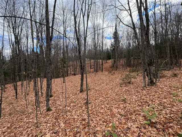 Land For Sale in Hastings Highlands, Ontario