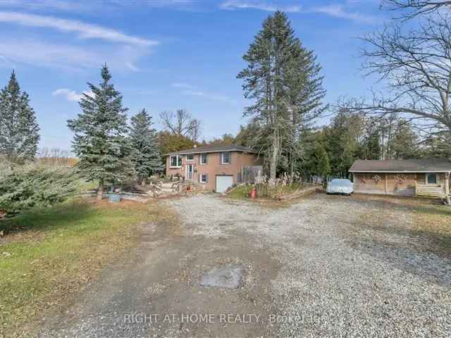 Beautiful Home on 4 Acres with Updated Kitchen and Finished Basement