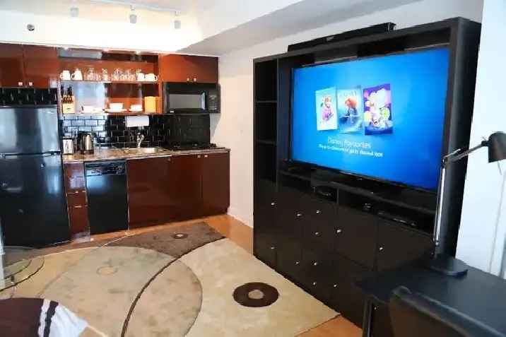 Rent Luxury Condo in Yonge Dundas Furnished with Utilities Included