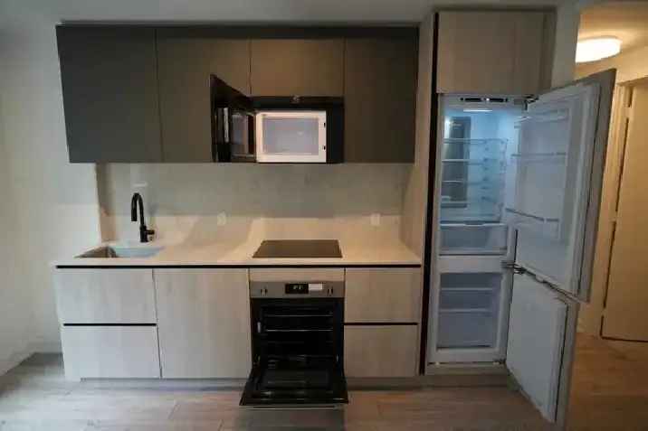 1 Bedroom   Den For Lease at Peter & Adelaide Condos