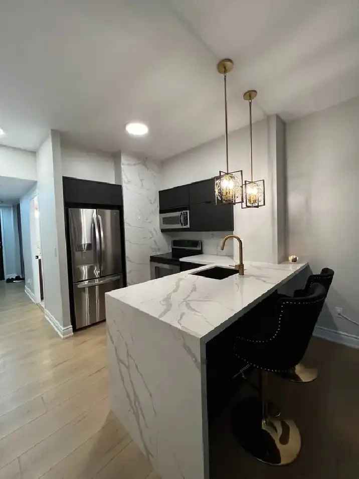 Luxury Furnished Downtown Condo 1 1 Den 2 Baths Parking