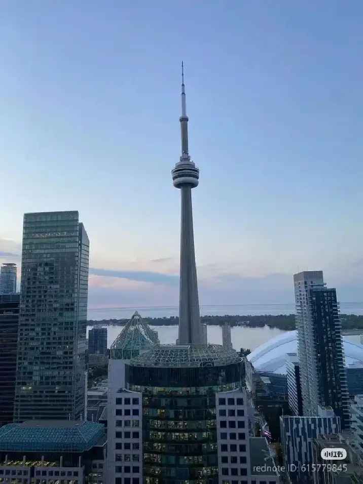 Furnished Downtown Toronto Condo Bedroom Rental