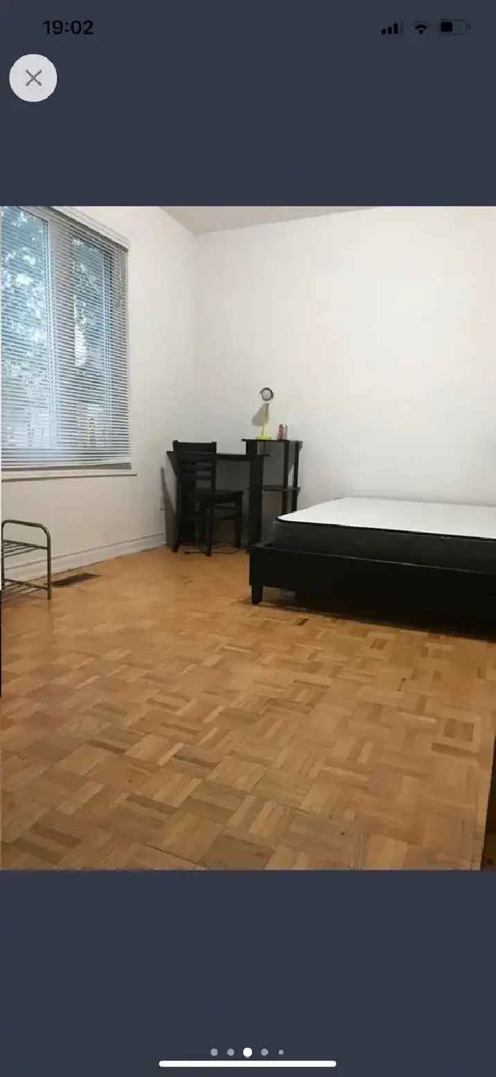 Downtown! Bright single room for rent