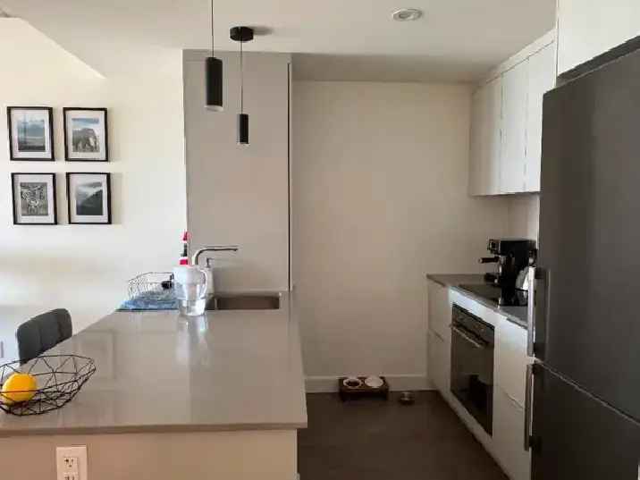 4 1/2 Furnished Condo in Griffintown - 8-month lease