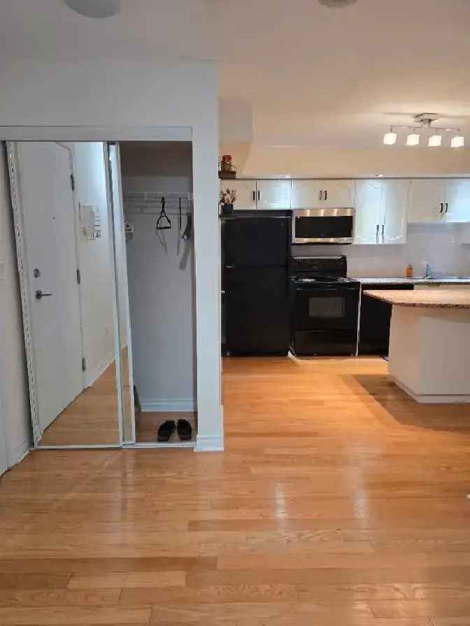 1Bedroom Den Condo DT Toronto