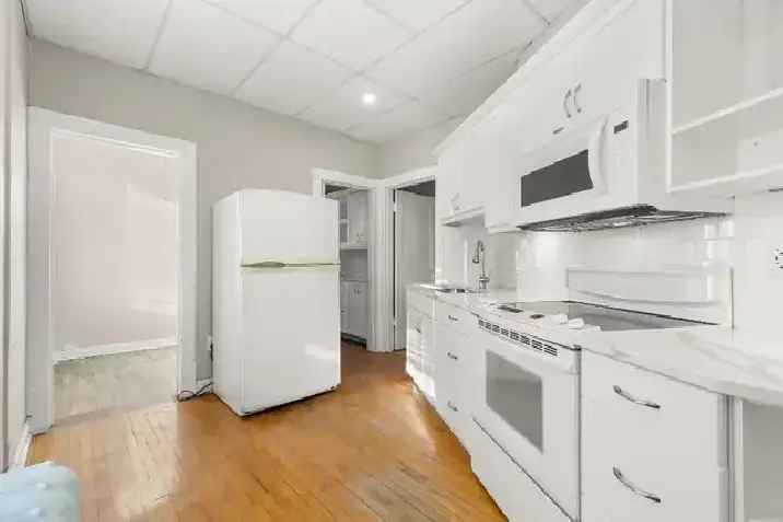 Downtown 2 bedroom   den in historic building