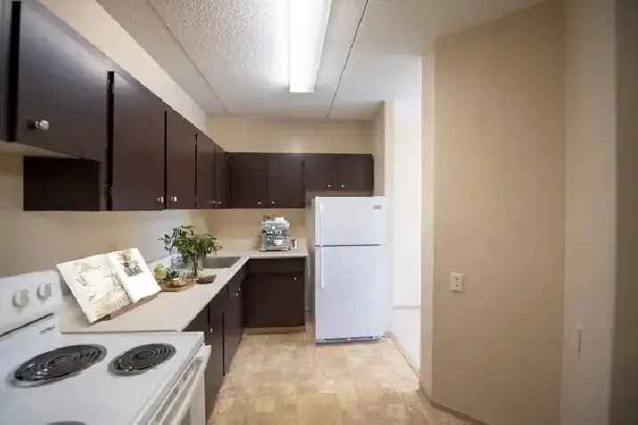 2 bedroom suites available Jan 1, 2024