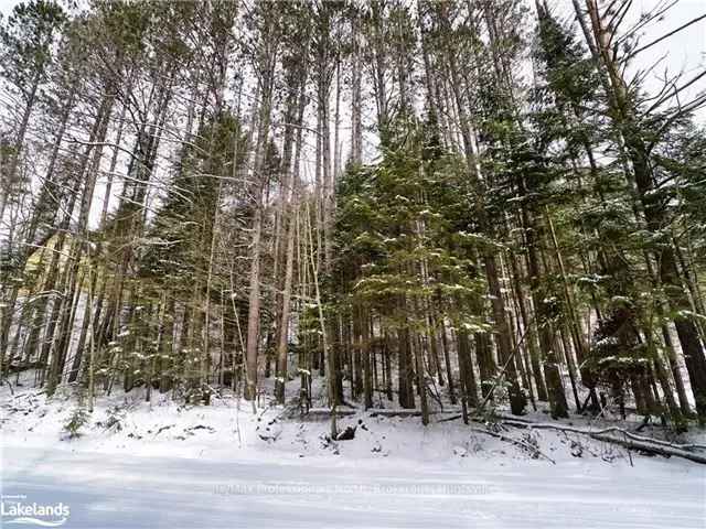 Muskoka Riverfront Lot Chalet Style Home Private Road