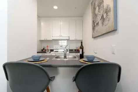 1 Bedroom Apartment 68m2 Montreal Luxurious Apartment for Rent