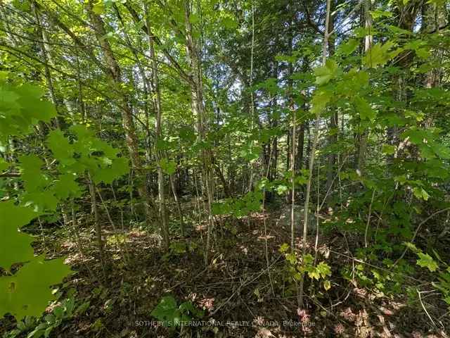 2.6-Acre Lot Bracebridge Ontario Build Your Dream Home