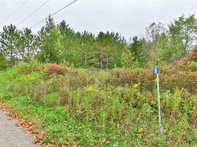 Land For Sale in Tweed, Ontario